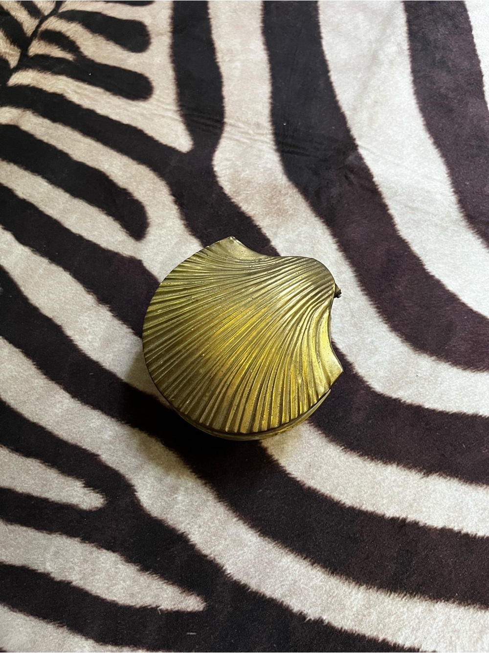 Brass Seashell Collection; Jewelry Box, & Catch All Plate.